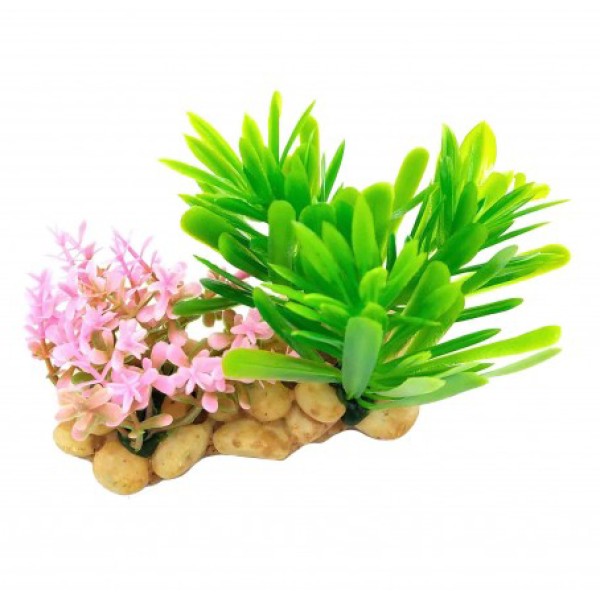 ΔΙΑΚΟΣΜΗΤΙΚΟ ΦΥΤΟ ΕΝΥΔΡΕΙΟΥ